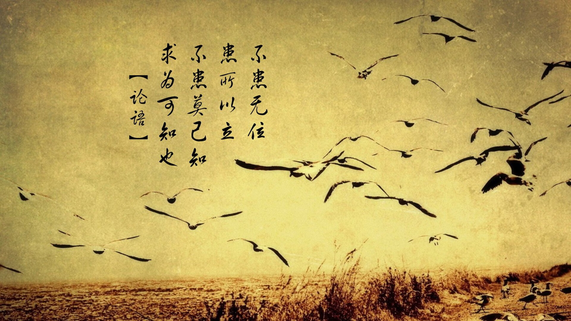 开云中国官网-《中国电竞产业政策发布，推动行业高质量发展》，中国电竞产业发展现状