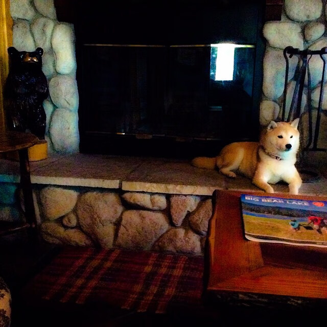 开云竞猜官网-巴西队在2024年南美锦标赛中以6-2战胜意大利队获得银牌，巴西晋级决赛